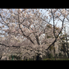 なっく