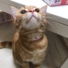 りょう
