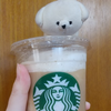 ぽんすけ🍡