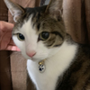 ニコ♡‪💖🍀プロフ見てね🙏🏻🥺