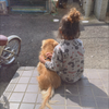 こてつ
