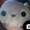  ︎︎