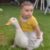 oto