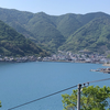 大洲のみかん