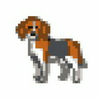 ワﾝｺﾛﾘン🐶