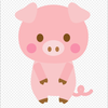 ぶーたん‪(๑•🐽•๑)‬🐰🌙
