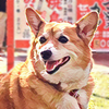 🧐QOO⛩