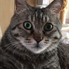 トラキチ  くん