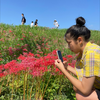 のぞみ