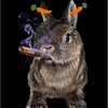 🥕ヤニぺこ🥕