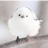 ミガルゲぇぇ！
