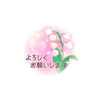 モミリ