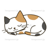🐈 ひ.らねこ🧋🎶