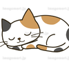 🐈 ひ.らねこ🧋🎶