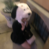 まーーー