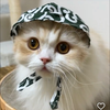 hana 