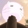 ももねこ🍑😺猫が好き🐾花火好き🩷