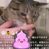 ユーザーアイコン