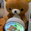 こいっくま🧸🌷