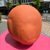 ふみふみ