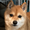 新☆ひろくん