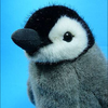 ぺんぎんのたまきち🐧🐟🚰❕