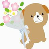 kuma☆