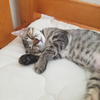 カズクラ大好き
