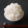 ライス大盛り(おかわり自由)