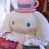 ここ茶🍵