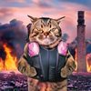 やる気が出ない強い猫