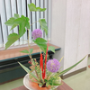 和香葉