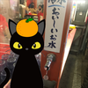 コン汰🐯⚡️
