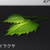 つばくさー