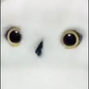 ATS