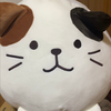 ˆ •͈ ·̫ •͈ ˆฅ