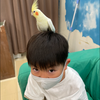 ここなちゃん大大大大好き🌈🏝🌈💜