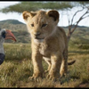 シンバ🦁