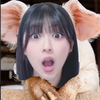 欲張りな豚😮🐷