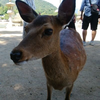 でいもん