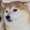 かじこ