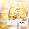 KIT