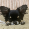 ◆せいごう◆