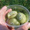 かんた