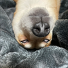 あ