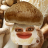 キノコ