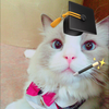 🎓おすぬ🪄