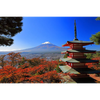 むーにー