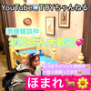 ほまれ🐕8/3 19時〜ラスト配信🥺✨