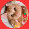 ぽん